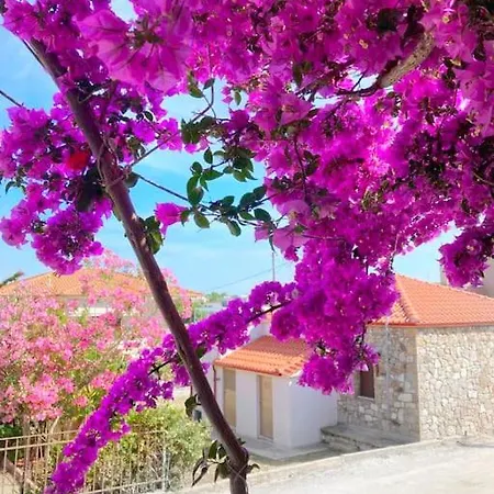 Mokamvilia House Apartment *